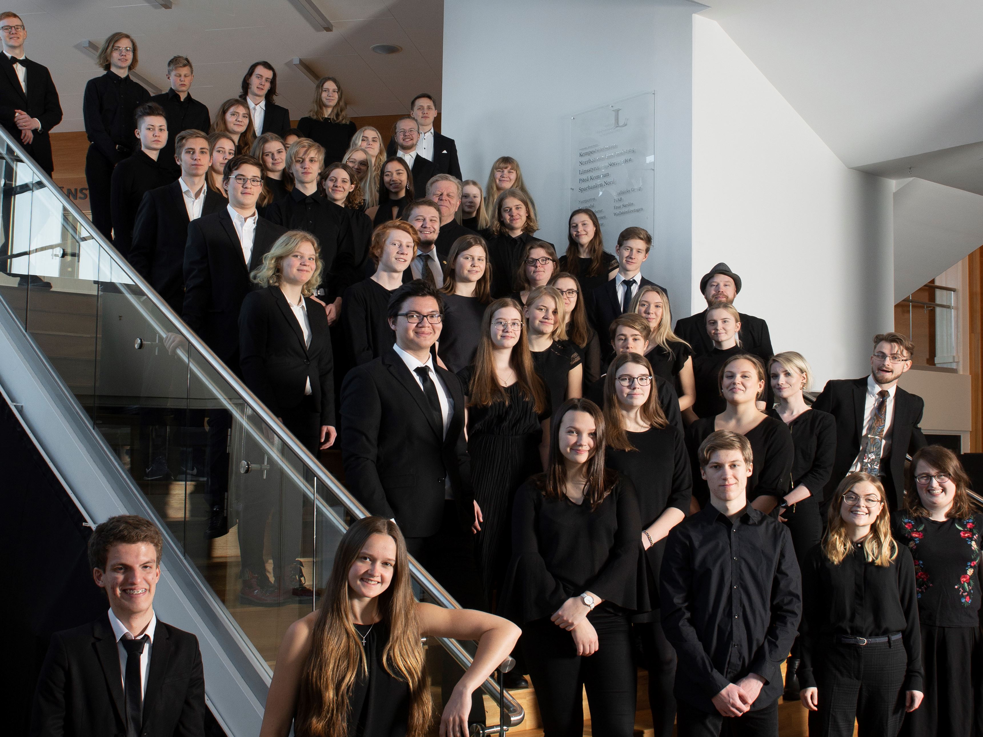 Alla musikerna i Norrbottens Ungdomssymfoniker står uppställda i en trappa