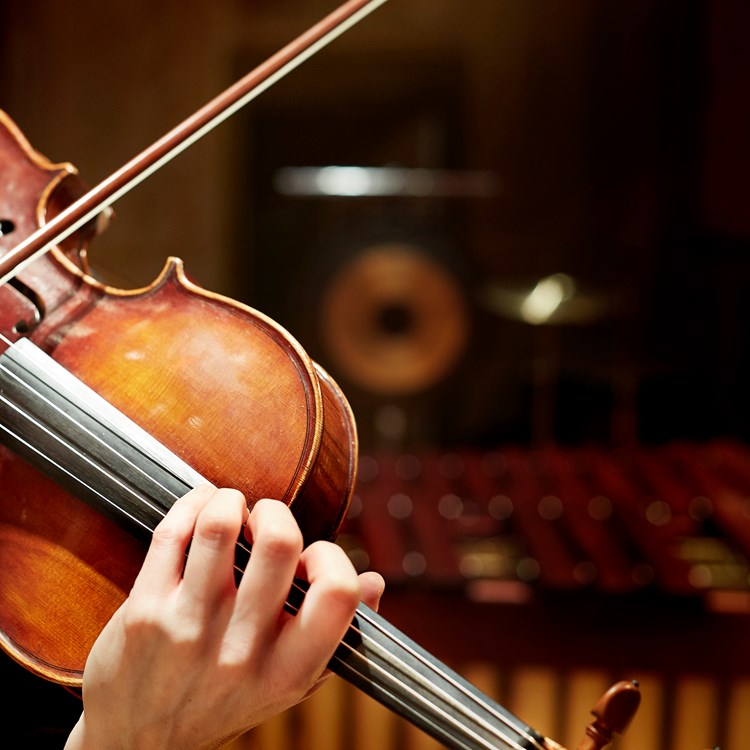 En närbild på en hand som håller en viola