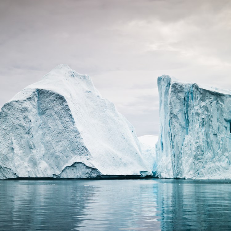 Arctic (isberg)